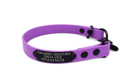 Amethyst Waterproof Biothane Slip Dog Collar