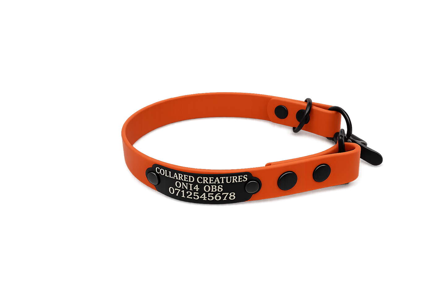 Burnt Orange Waterproof Biothane Slip Dog Collar