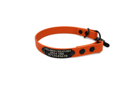 Burnt Orange Waterproof Biothane Slip Dog Collar