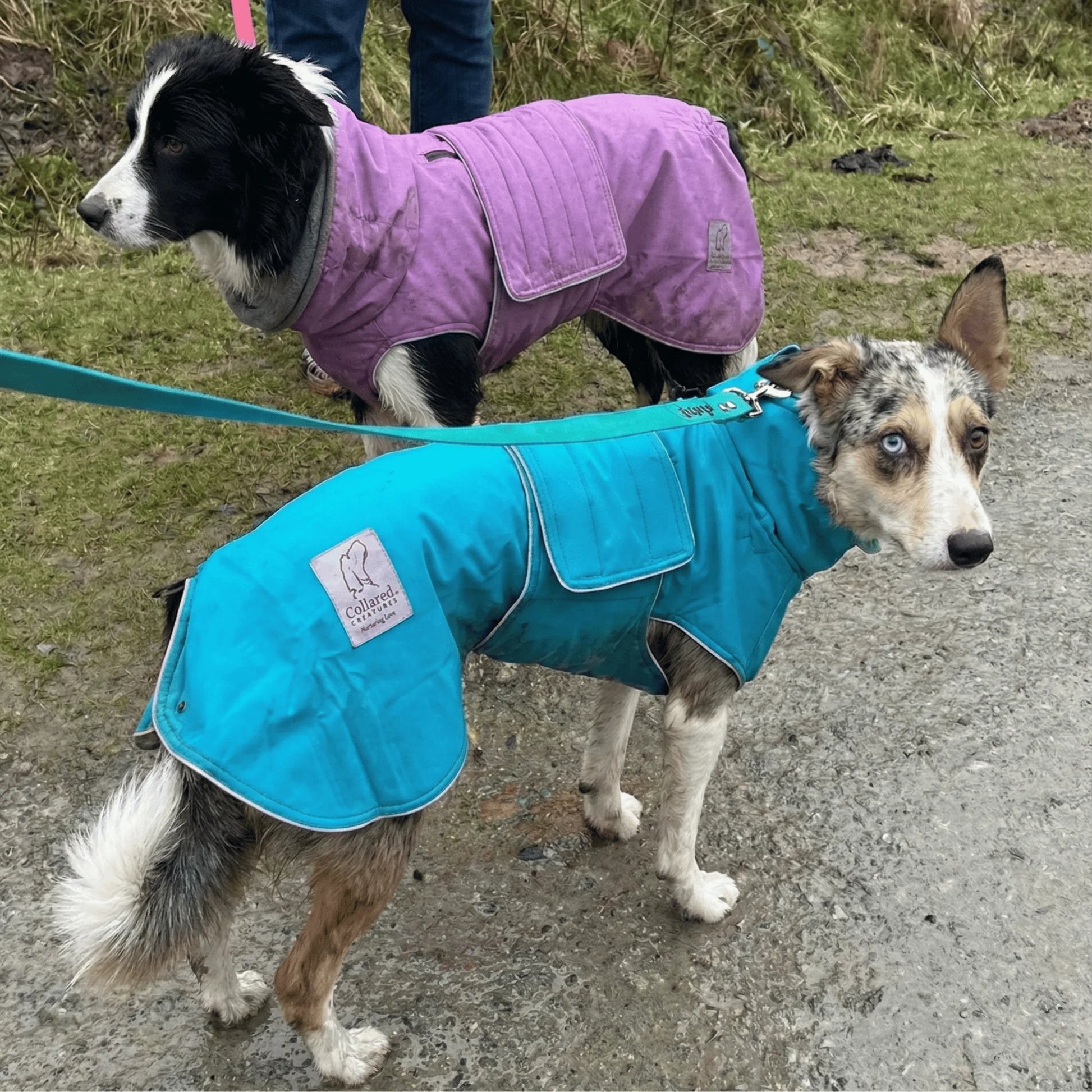 Doglay Dog Winter Coat with Thicken Furry Collar, Reflective Warm Pet... Doglay Dog Winter Coat with Thicken Furry Collar, Reflective Warm Pet...