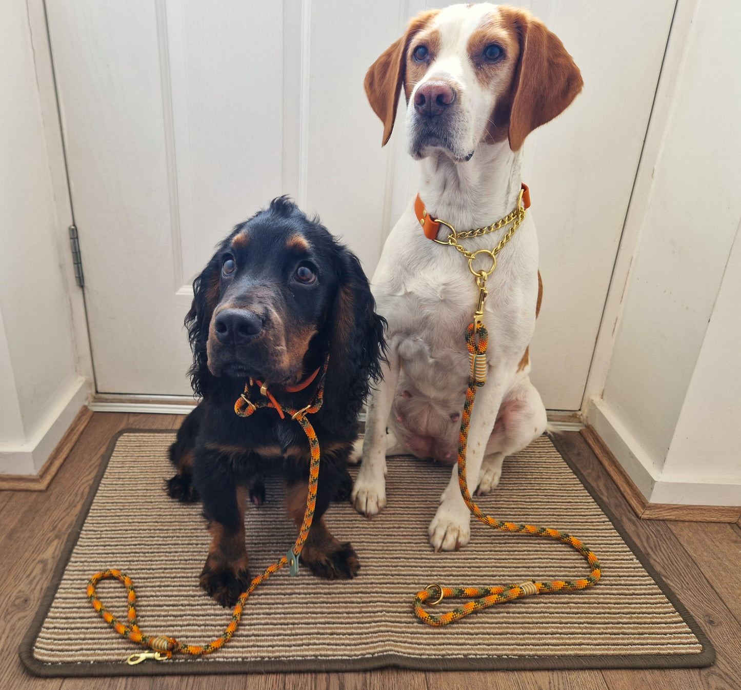 Maple Syrup Handmade Rope Dog Collar with whipping