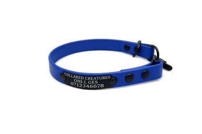 Electric Blue Waterproof Biothane Slip Dog Collar