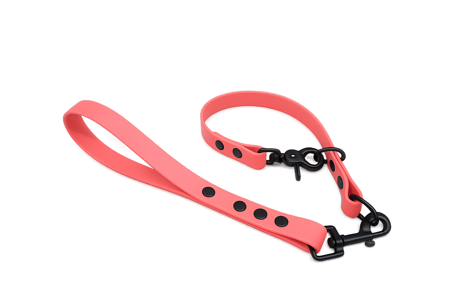Coral Waterproof Biothane Slip Dog Collar
