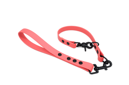 Coral Waterproof Biothane Slip Dog Collar