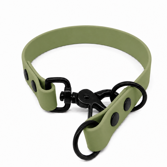 Guacamole Waterproof Biothane Slip Dog Collar