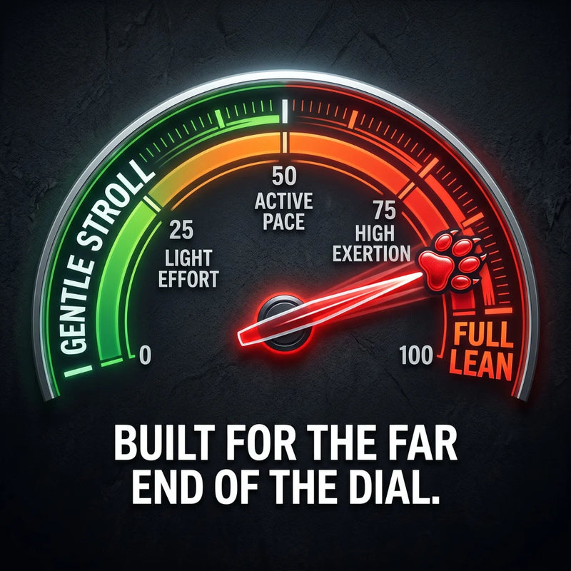 Built to Hold Under Real Strength
