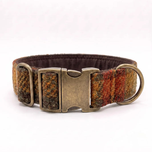A woven tweed dog collar with a multicolor pattern of brown, yellow, and red, featuring an antique bronze buckle and metal rings, shown on a white background.