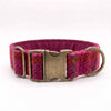 Extra Wide 38mm - Cerise Check Harris Tweed Dog Collar