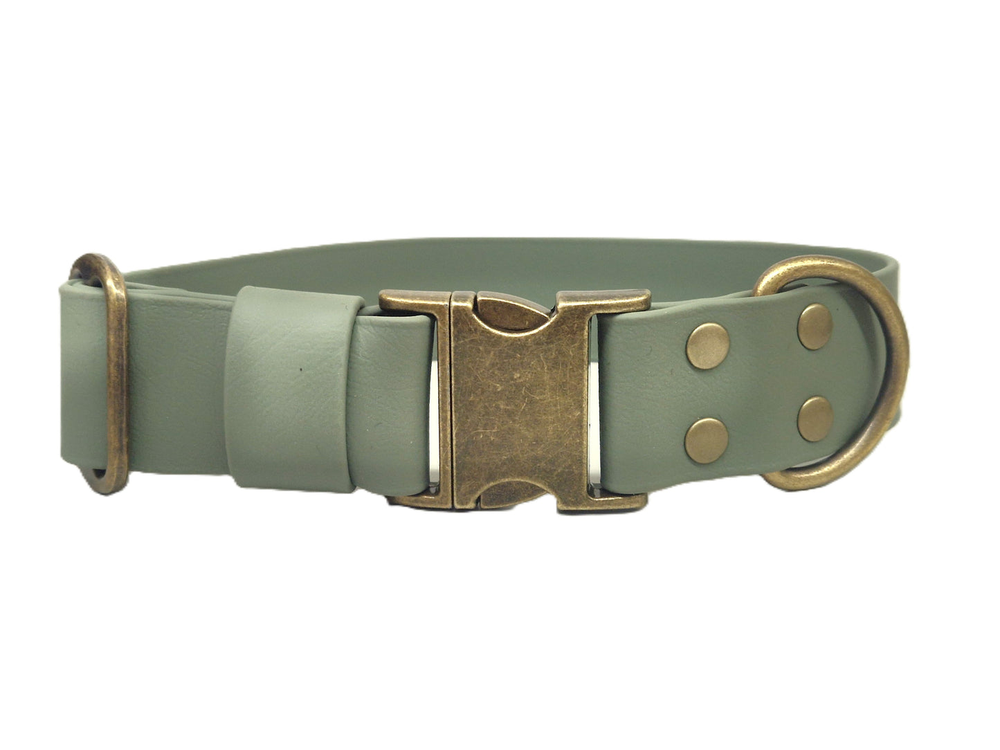 Green 38mm wide dog collar with brass buckle on a white background