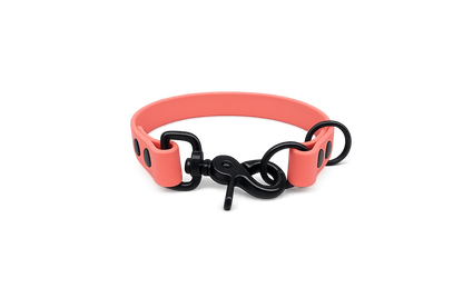 Coral Waterproof Biothane Slip Dog Collar