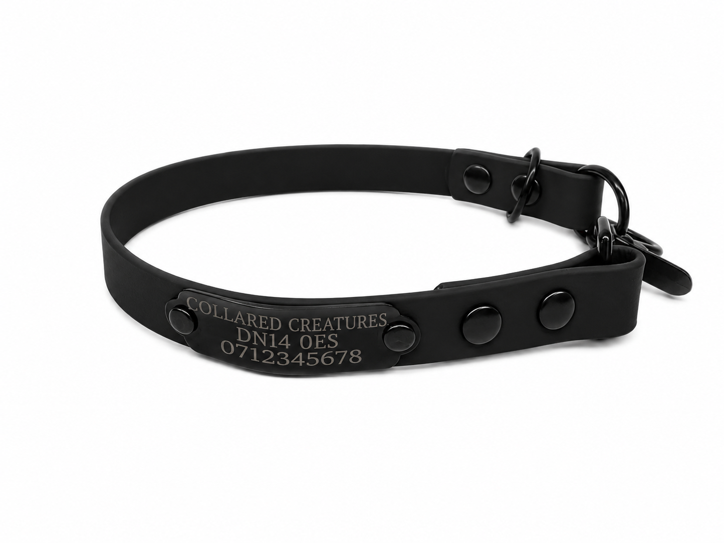 Black Waterproof Biothane Slip Dog Collar