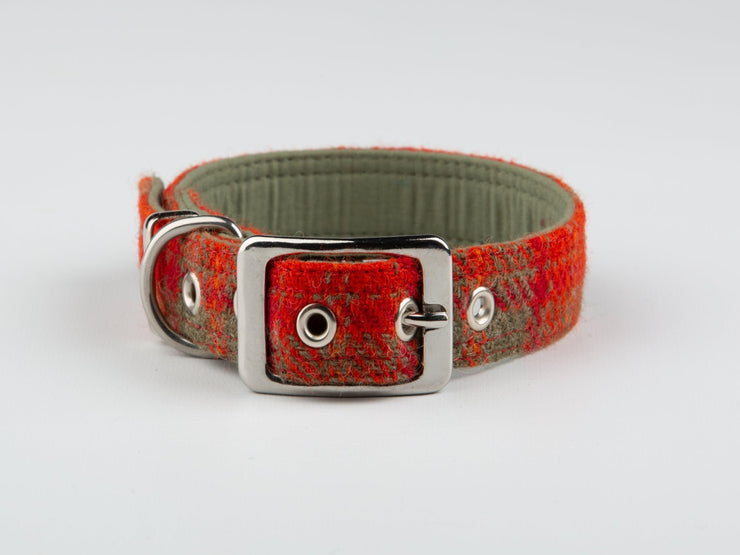 Orange & Olive Check Buckle Fastening Harris Tweed Luxury Dog Collar/collared creatures