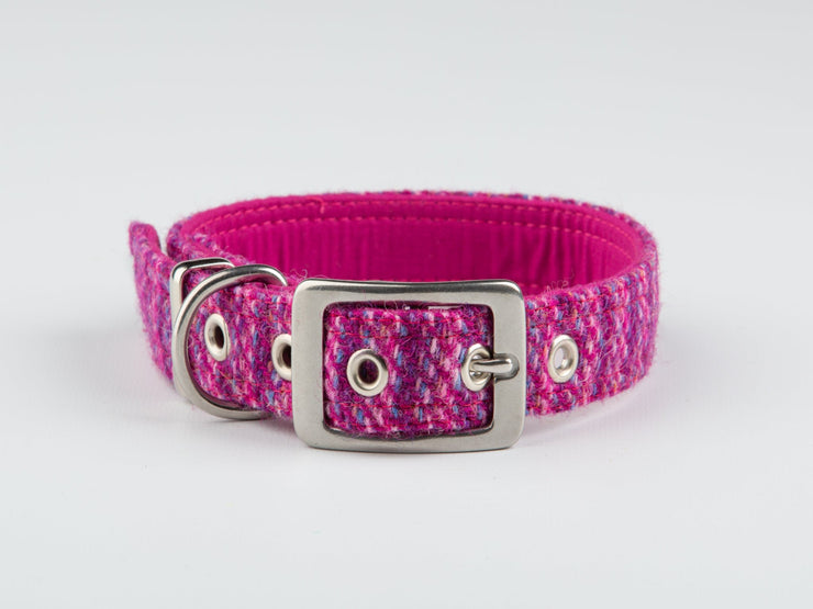 Pink Kaona-Buckle Fastening Luxury Harris Tweed Dog Collar/collared creatures