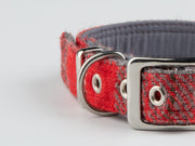 Collared Creatures Red & Grey Check-Buckle Fastening Luxury Harris Tweed Dog Collar
