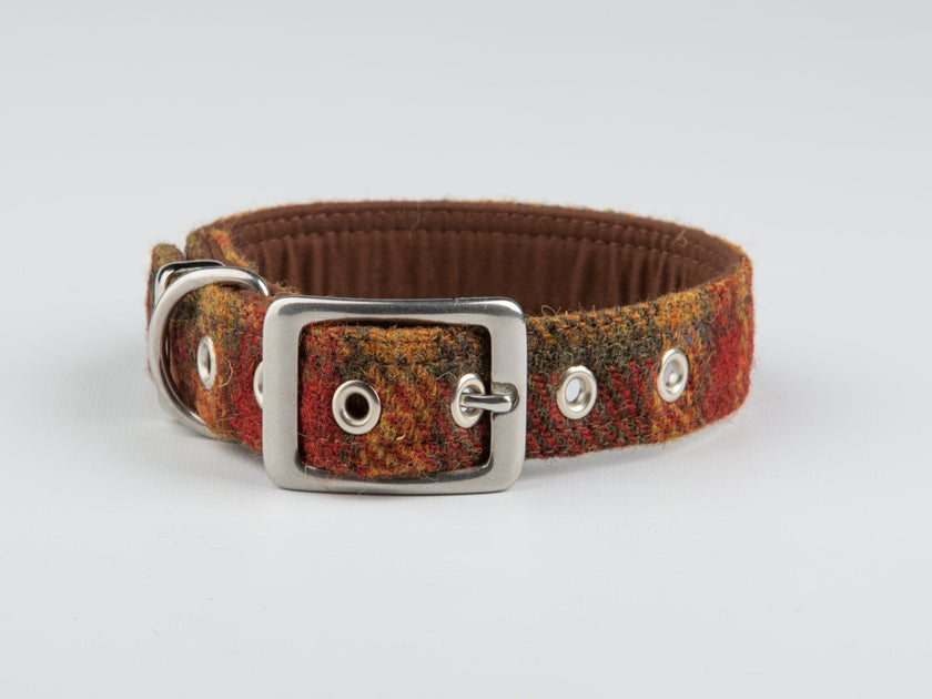 Collared Creatures Luxury Tweed Buckle Dog Collars | Collared Creatures – Collared ...