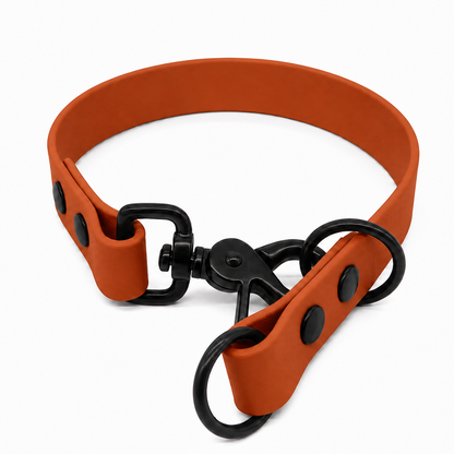 An orange biothane dog collar with black hardware, including a swivel clasp, rings.