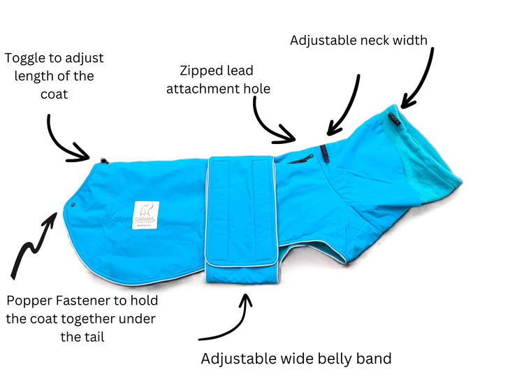Teal Superior Waterproof Dog Coat