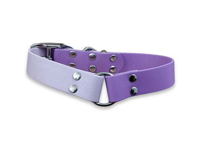 Amethyst-Pastel-Pink-Waterproof-Biothane-Buckle-Dog-Collar-back-view from-back