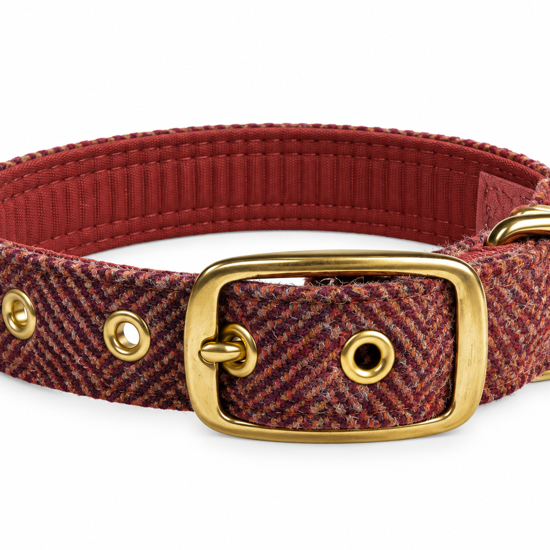 A red  herringbone tweed dog collar with a polished gold buckle, D-ring, and metal eyelets, shown on a clean white background.