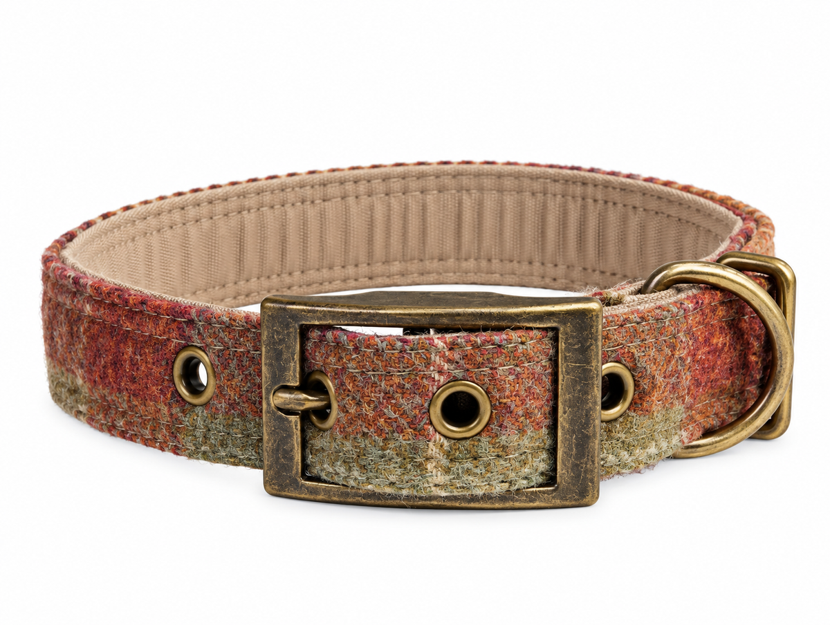 Abraham Moon Threshfield Agate check Luxury Dog Collar