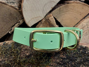 Apple Waterproof Biothane Dog Collar Handmade in Yorkshire