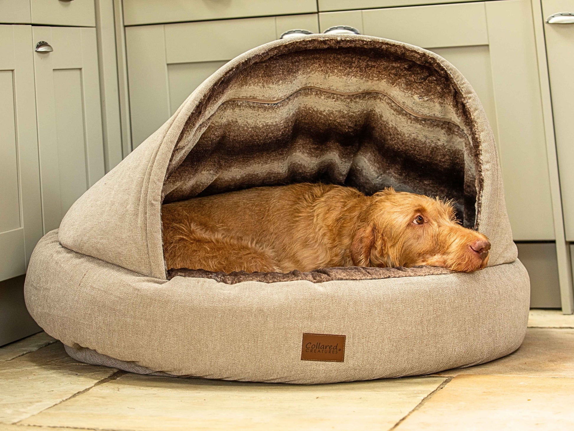 Wire-haired dog resting inside a beige Collared Creatures cocoon dog bed with structured hood and soft fleece lining
