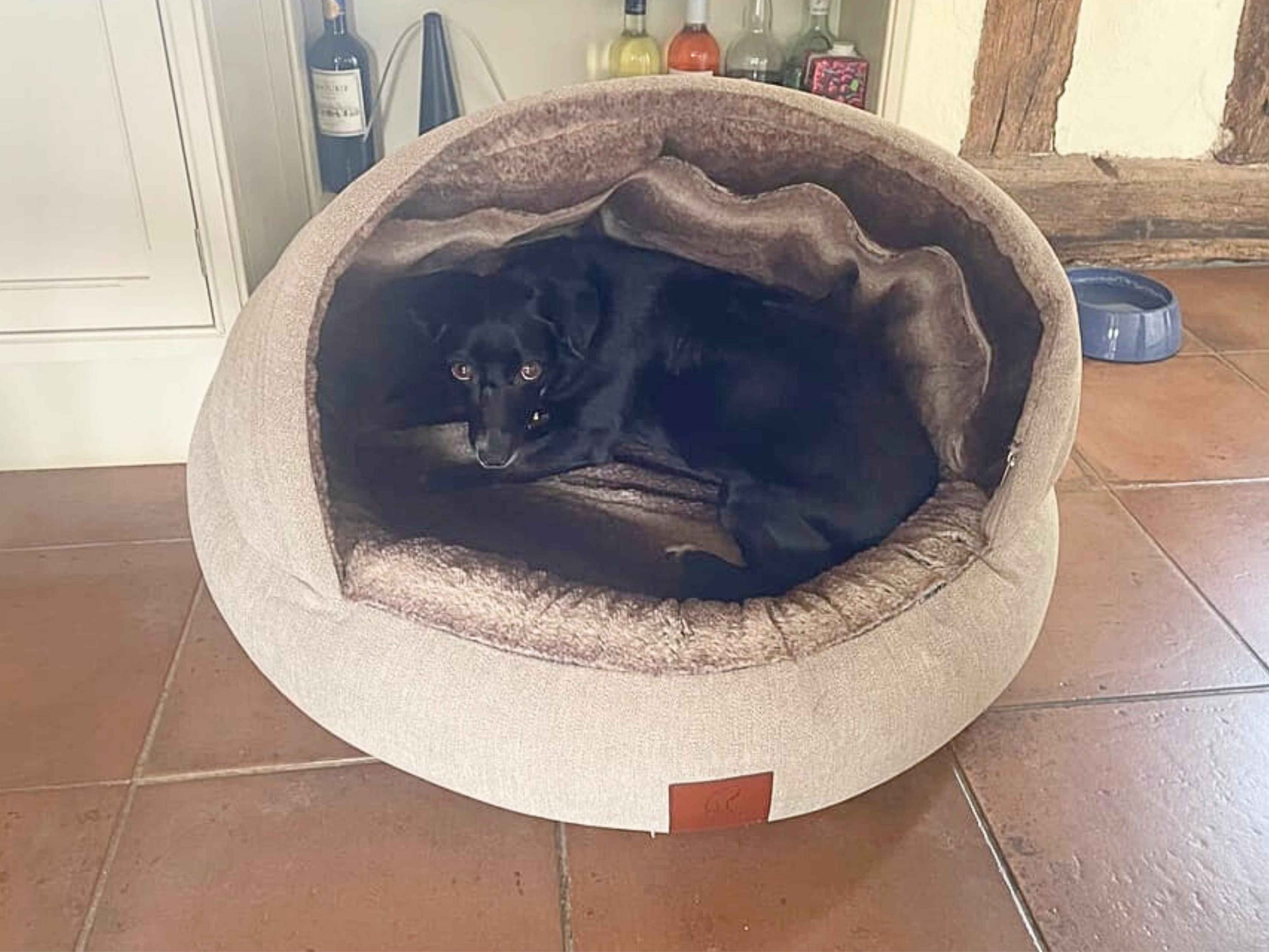 Small black dog curled up inside the Beige Deluxe Cocoon Dog Bed by Collared Creatures