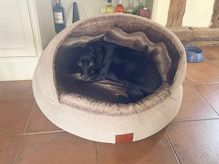 Small black dog curled up inside the Beige Deluxe Cocoon Dog Bed by Collared Creatures