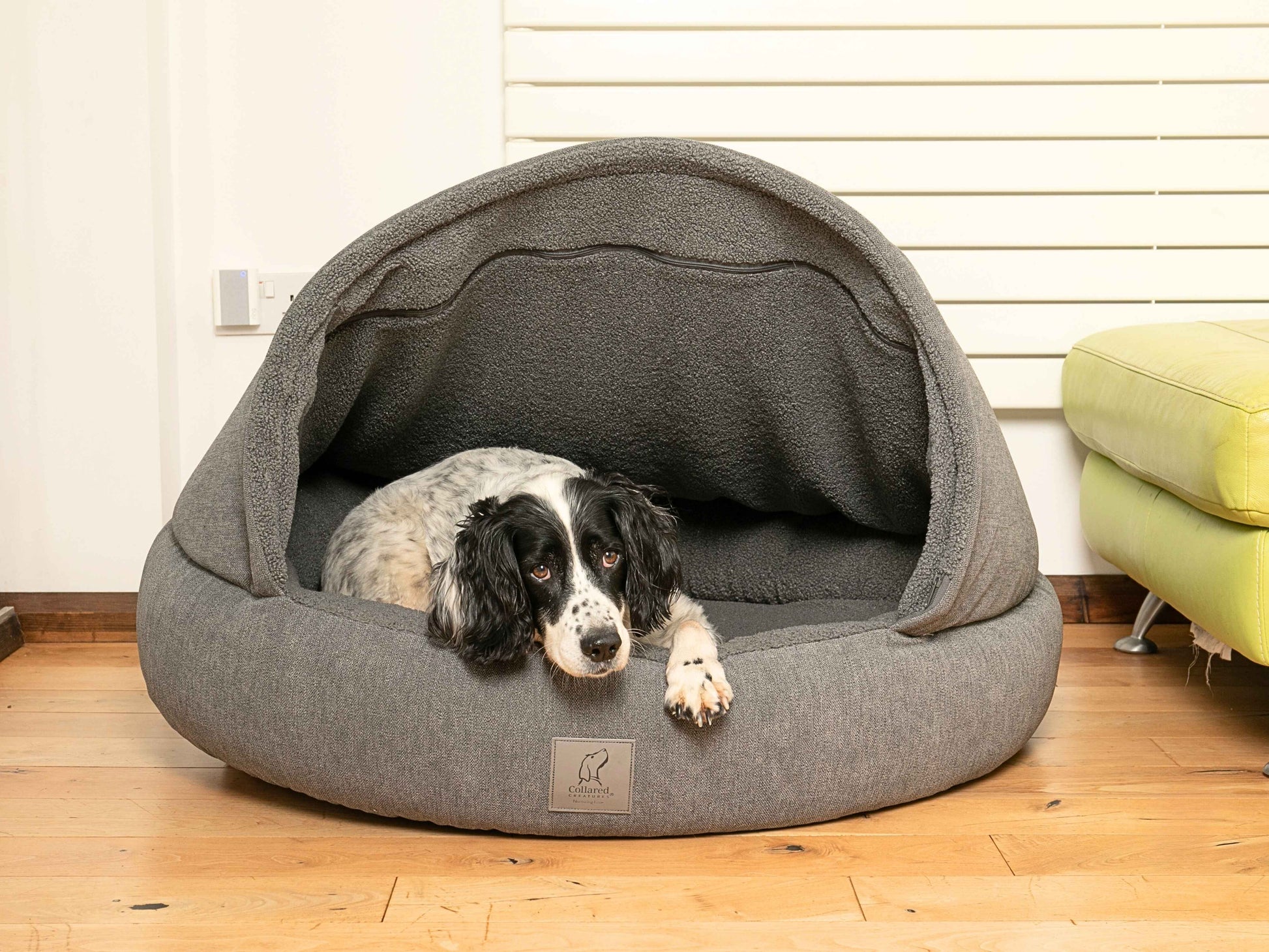 Black and white dog resting inside the grey cocoon bed with soft teddy fleece interior