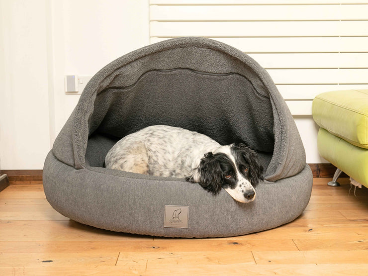 Dog napping peacefully inside a grey cocoon bed with warm teddy fur lining
