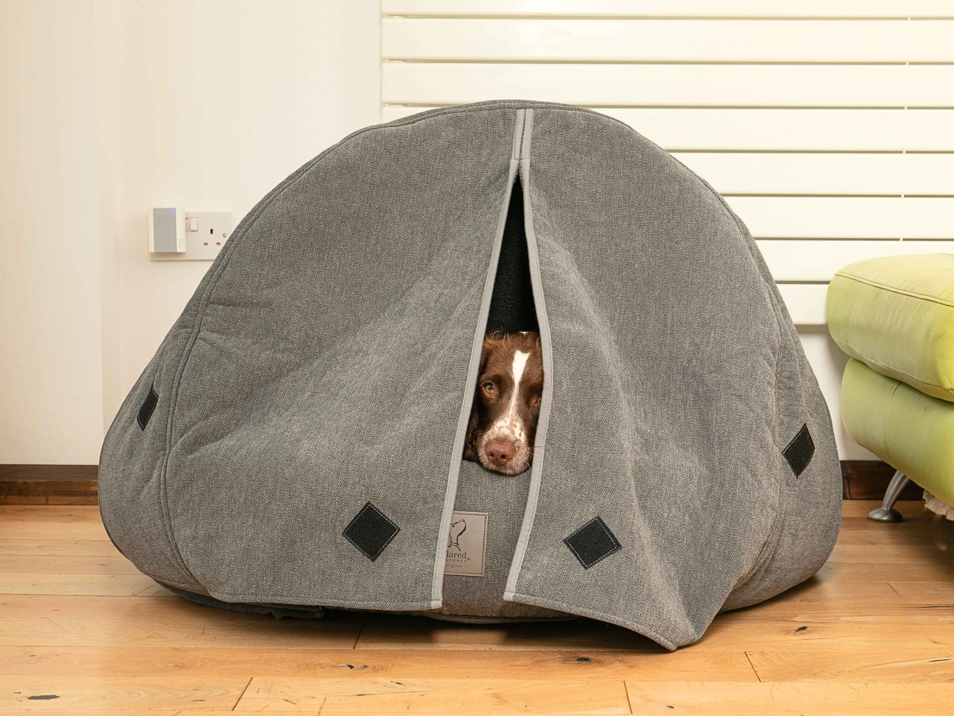 Brown dog peeking out from grey cocoon bed with curtains fully closed for privacy