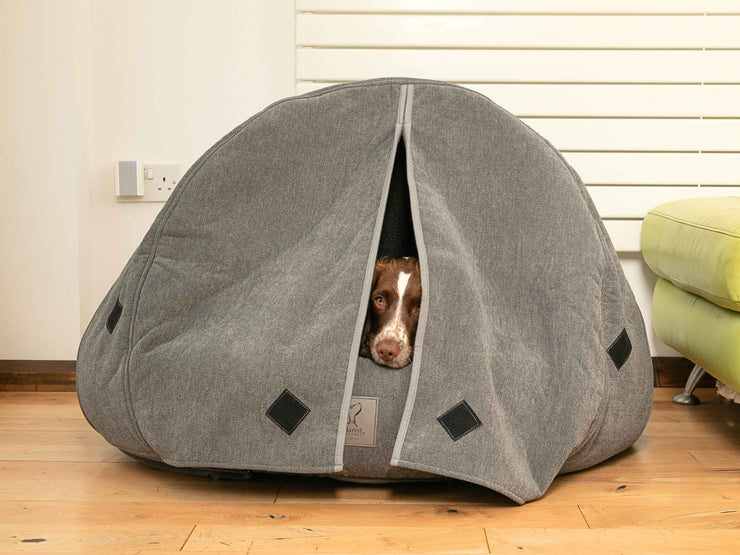 Brown dog peeking out from grey cocoon bed with curtains fully closed for privacy