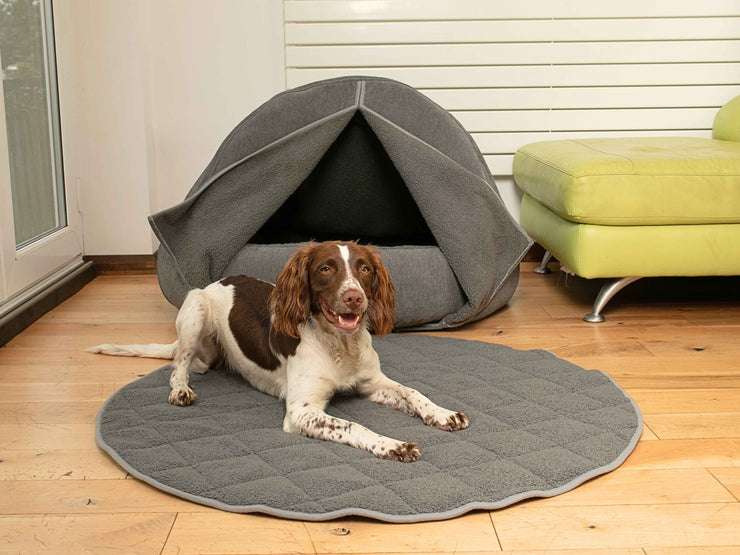 Brown dog lying on matching round blanket in front of grey cocoon bed