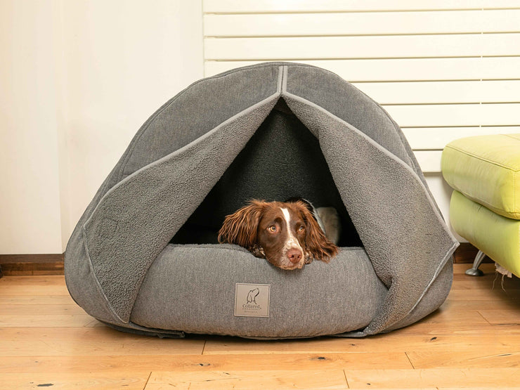 Brown dog lying in the grey cocoon bed with open curtains creating a tent-like cover
