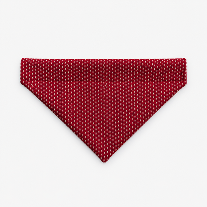 Santa in a snowstorm  Amor Tweed Dog Collar