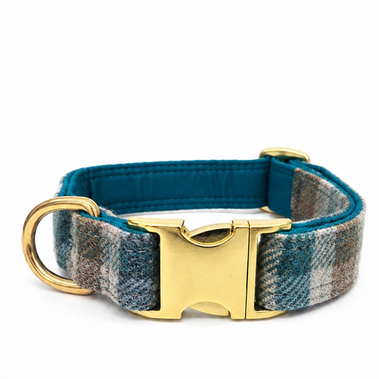 A dog collar with a blue and gray plaid pattern, a teal blue fabric lining, and a gold-tone metal buckle and D-ring, shown on a plain white background.
