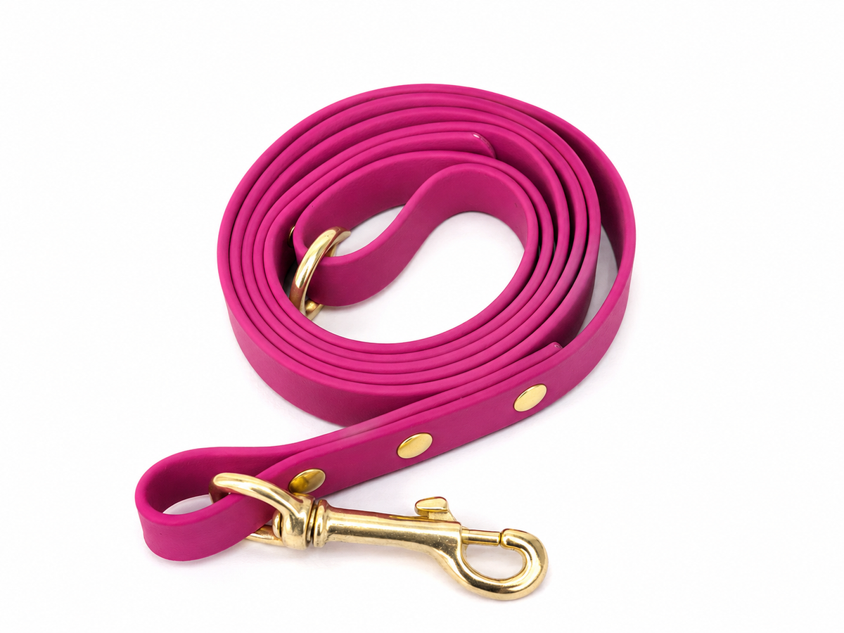 A bright magenta biothane dog leash with gold-tone hardware, including a swivel snap hook clasp and brass grommets, coiled on a white background.