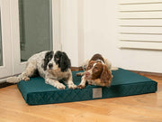 Two dogs laying side by side on the Teal Collared Creatures Dog Mattress Bed, made with plush velour and a deep supportive base.