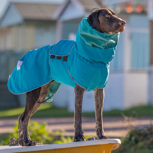 Collared Creatures Teal Superior Waterproof Dog Coat