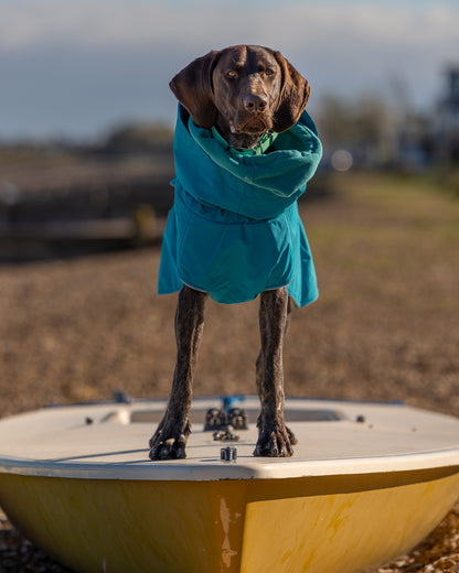 Collared Creatures Teal Superior Waterproof Dog Coat