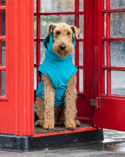 Collared Creatures Teal Superior Waterproof Dog Coat