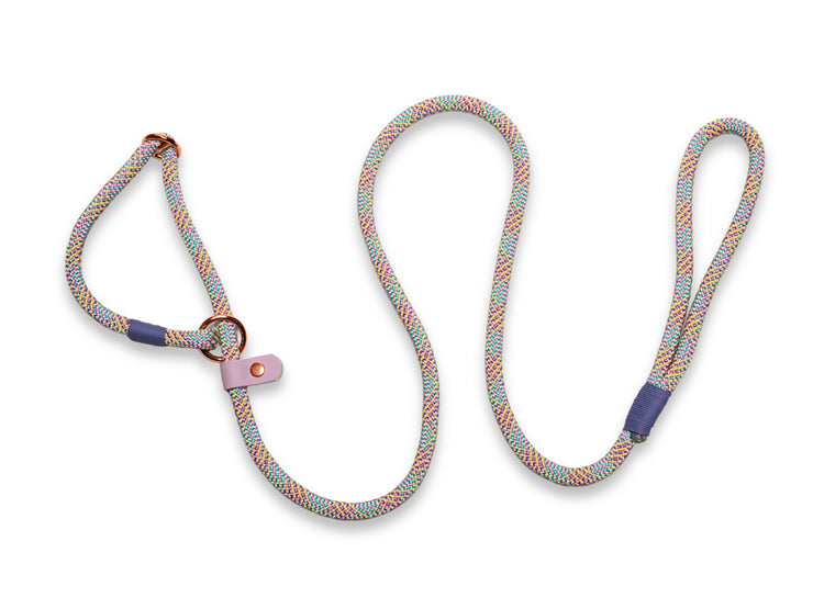 Collared Creatures Handmade Rope Slip or Clip Dog Lead. This Fruit Pastel Coloured Rope Dog Leash is Made in the UK. Hard Wearing and Stylish.