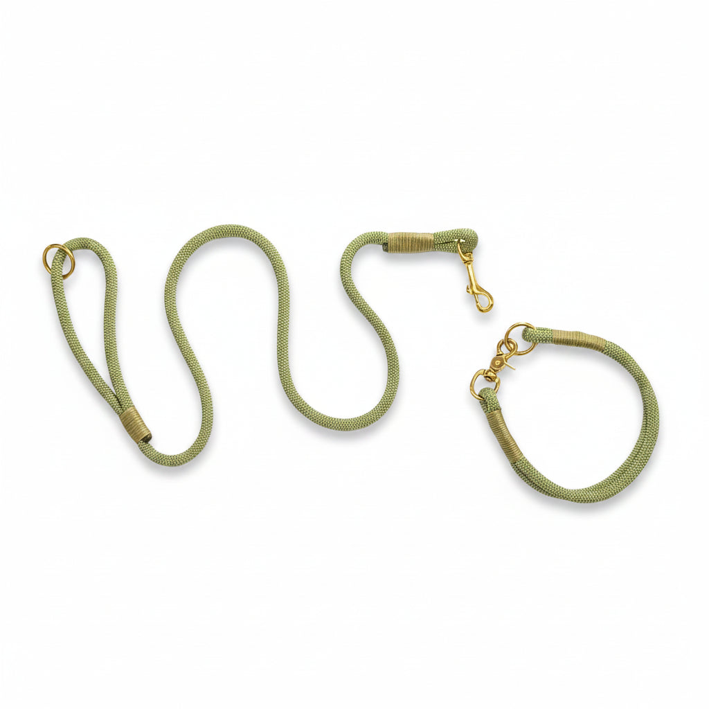 Guacamole Quick-Dry Rope Dog Collar – Handmade PPM – Collared Creatures