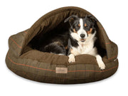 Black and white Collie resting in a Green Tweed Collared Creatures cave bed with rigid hood and cosy fleece lining