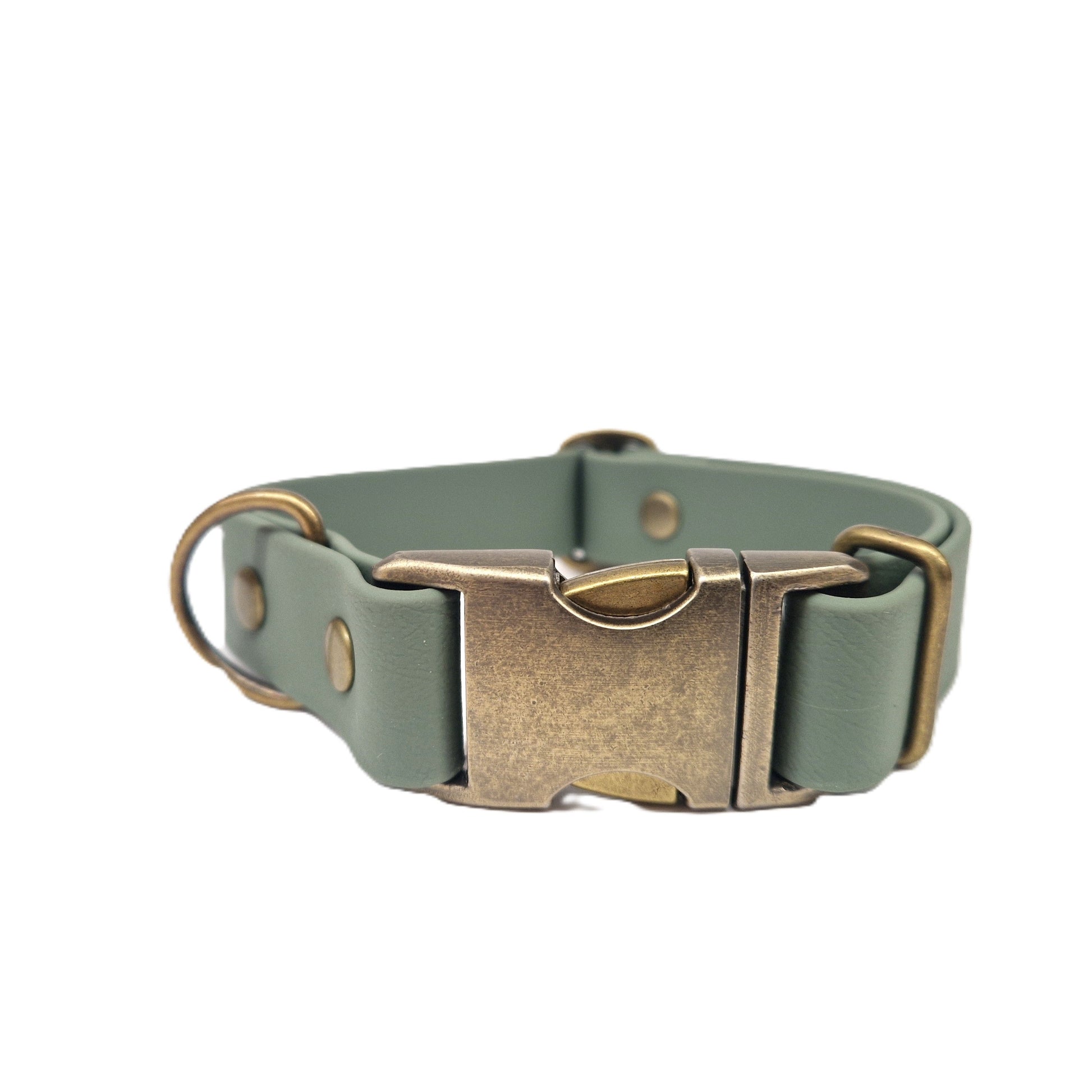 Biothane 38mm wide collar with brass buckle on a white background