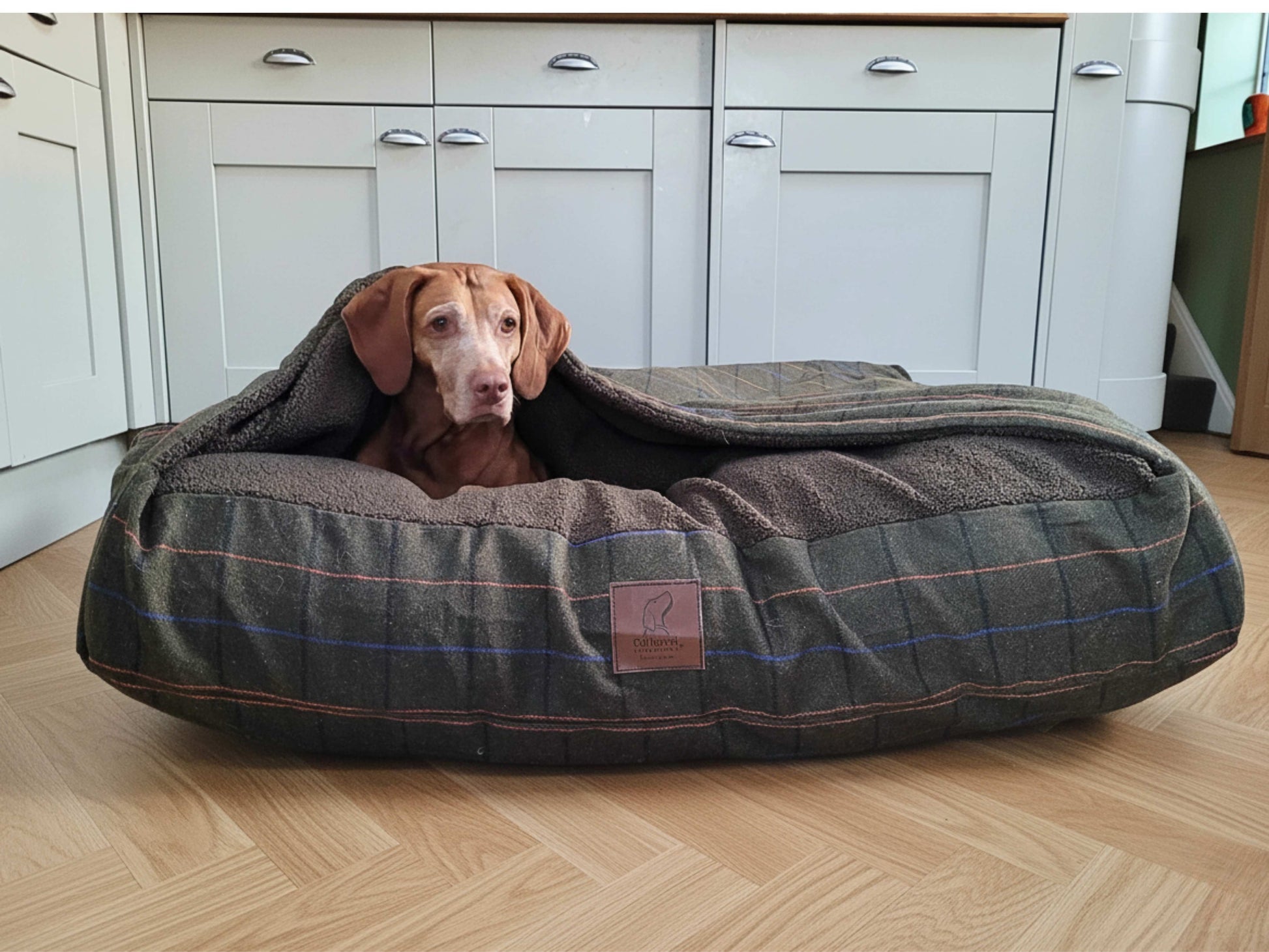 Green Tweed Dog Snuggle Bed – Hooded Luxury Bed for Dogs That