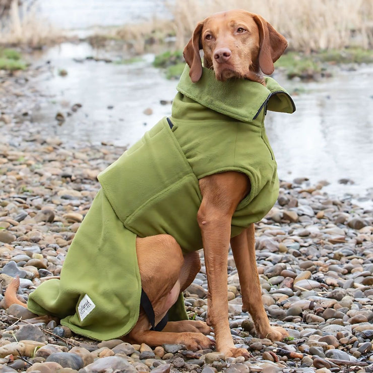 Green Perfectly Practical Dog Drying Coat