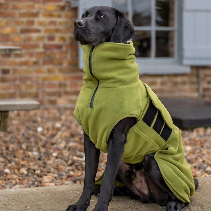 Green Superior Perfectly Practical Dog Drying Coat