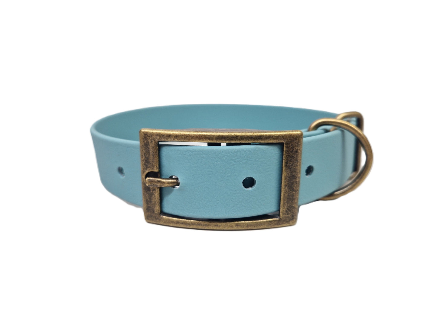 *New* Duck Egg Blue Waterproof Biothane Buckle Dog Collar