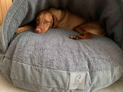 Vizsla snuggled inside grey dog cave bed with soft faux fur lining - Collared Creatures